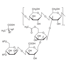 Water Based Thickening Agent high grade Xanthan gum polysaccharide Supplier